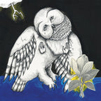 Songs Ohia:  - Magnolia Electric Co. (LP)