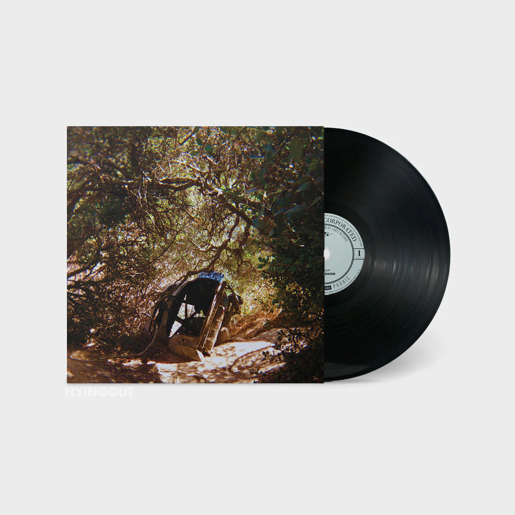 Ty Segall - Possession (LP)