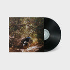 Ty Segall - Possession (LP)