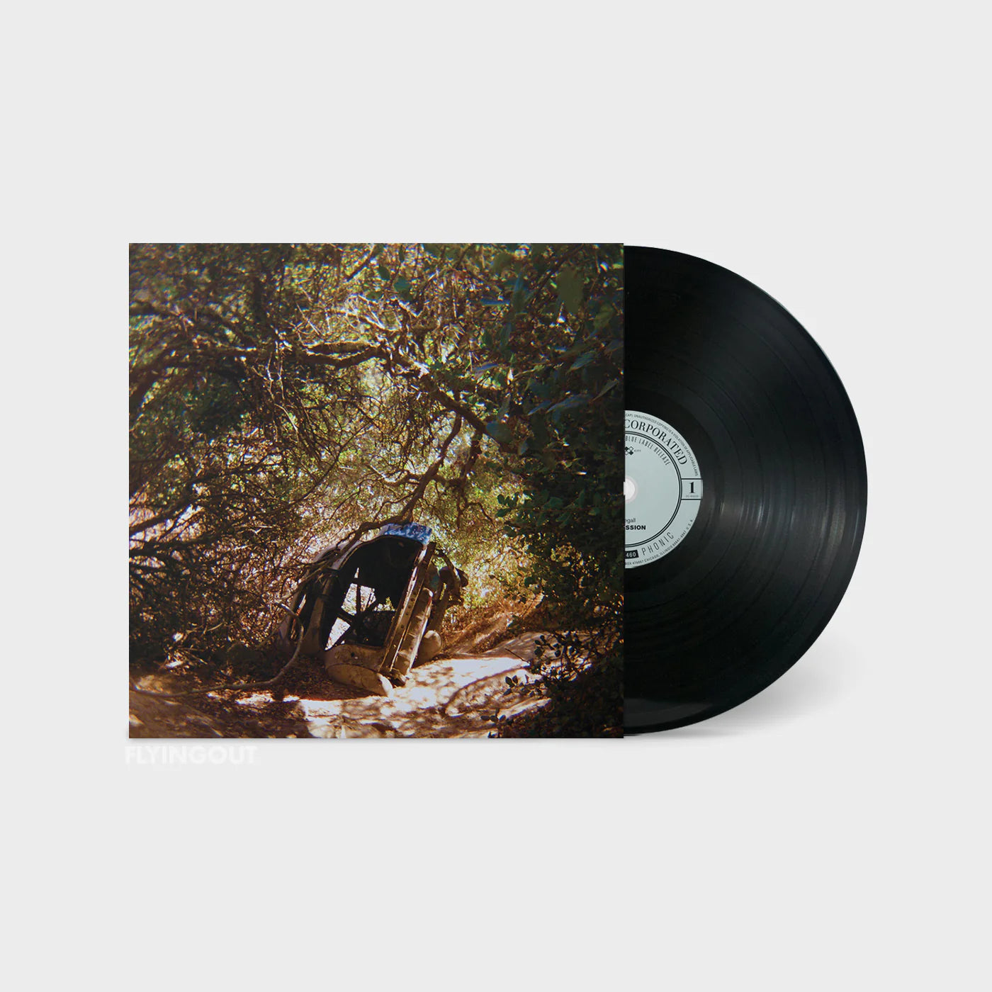 Ty Segall - Possession (LP)