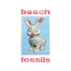 Beach Fossils - Bunny (LP)