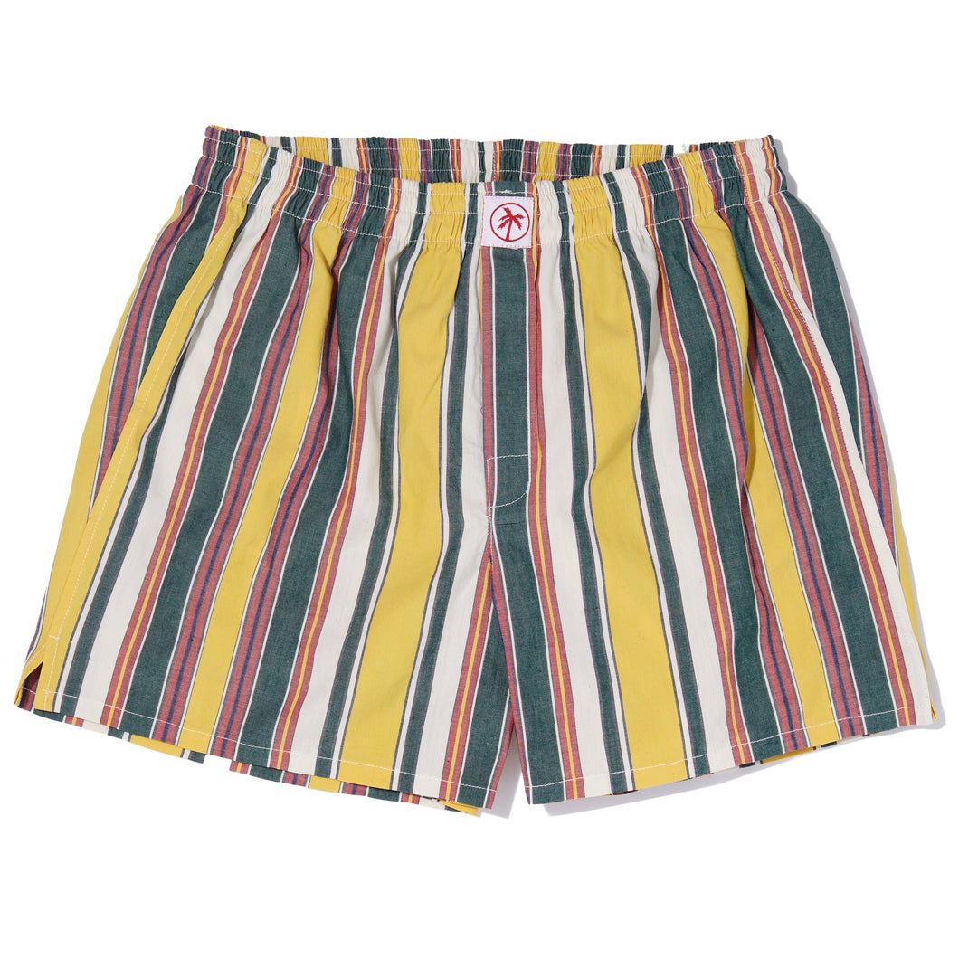 boxer shorts (stripes)