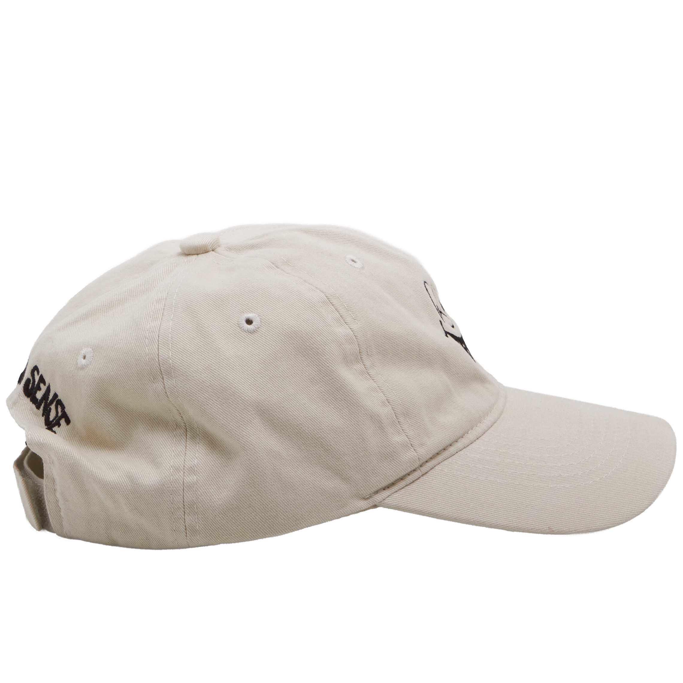 common sense dad cap / bone