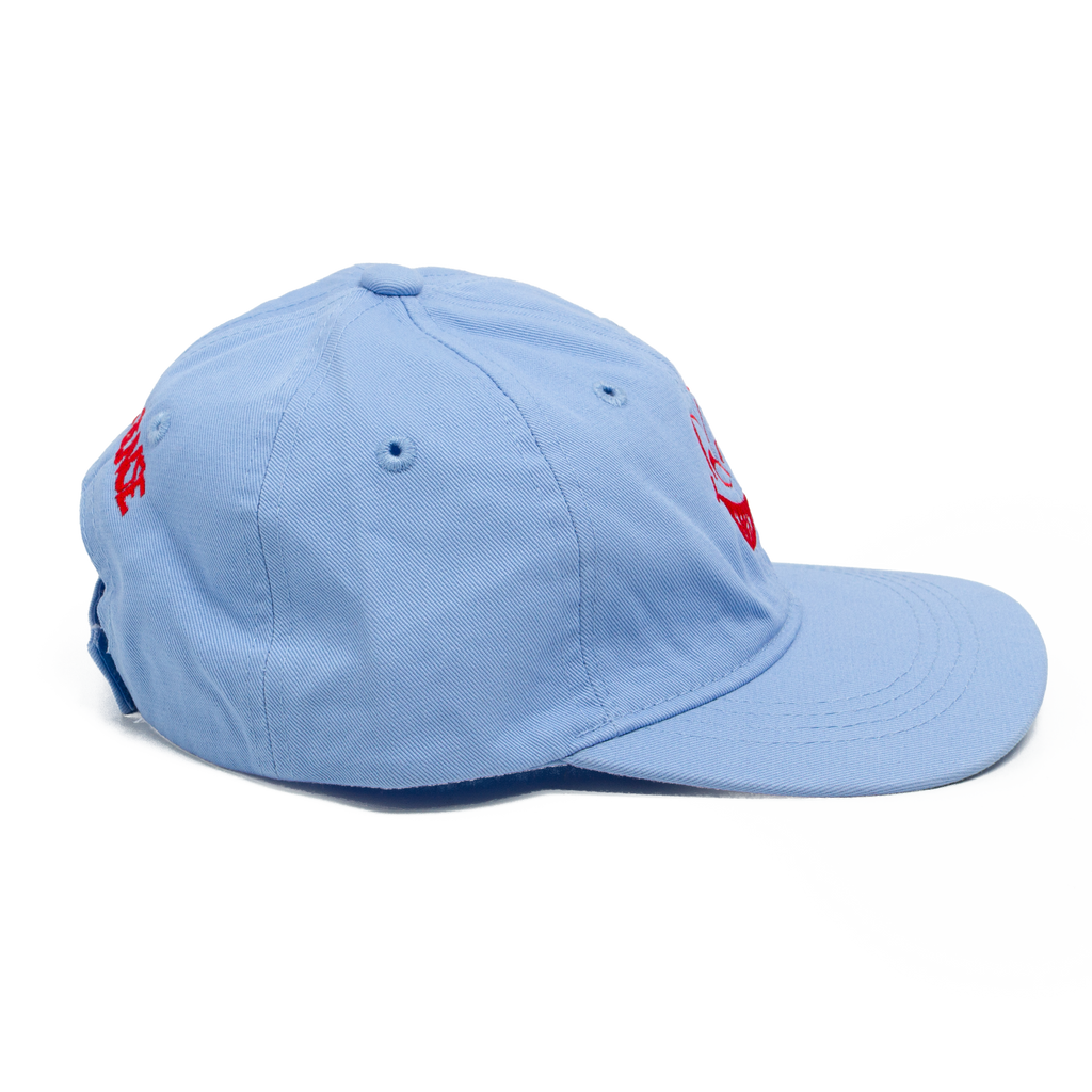 common sense kids cap /  feather light blue