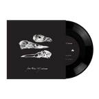 Jason Molina / MJ Lenderman - The Last 3 Human Words (Demo) / Just Be Simple (Songs: Ohia Cover) (7")