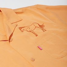 Load image into Gallery viewer, dedey lapel shirt / peach
