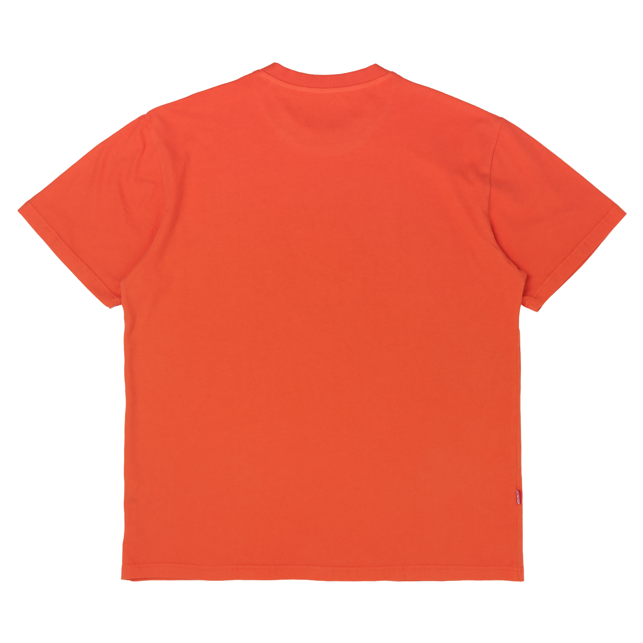 frog tee / orange