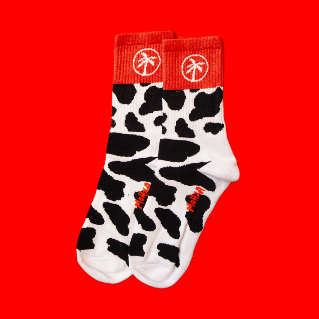 moo socks / cow